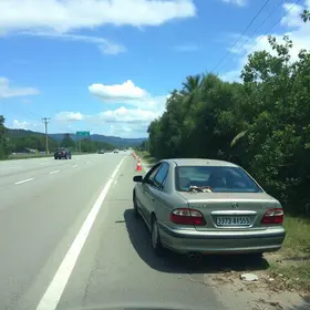 GCM recupera veículo roubado