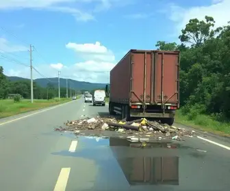 carreta tomba