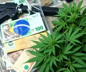 apreensão de maconha